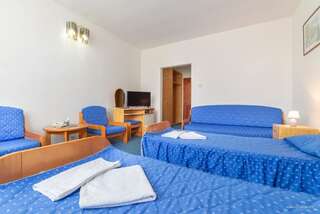 Отель Hotel Iris Tîrnăveni Стандартный двухместный номер с 1 кроватью или 2 отдельными кроватями-5